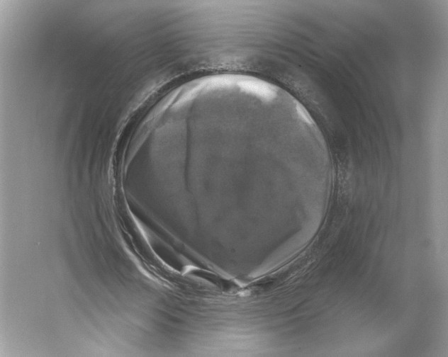 X0000064050674200602171711