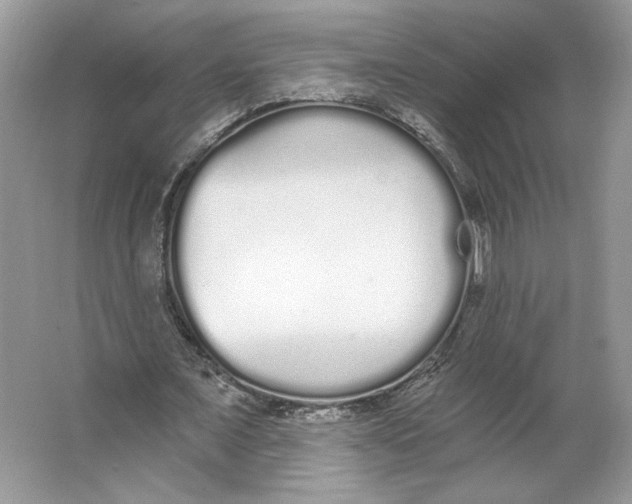 X0000064050675200602171711