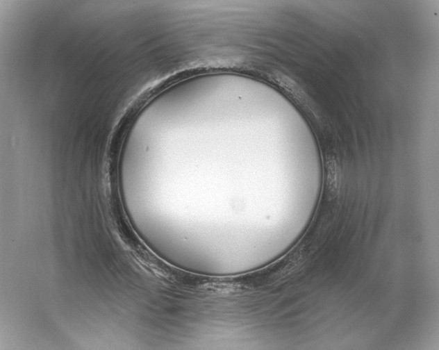 X0000064050676200602171711