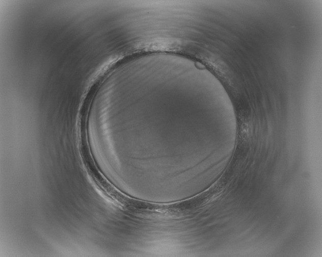 X0000064050678200602171711