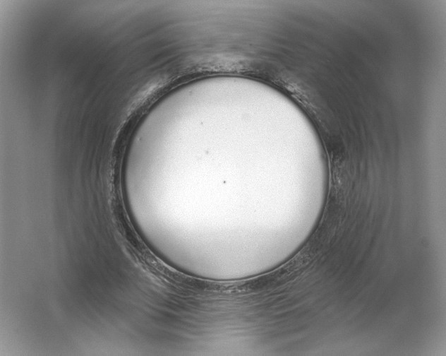X0000064050679200602171711