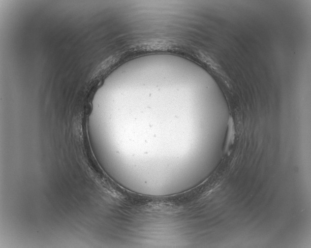 X0000064050681200602171711