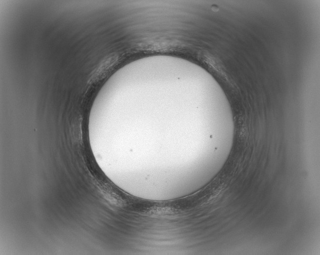X0000064050685200602171711