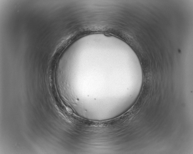 X0000064050688200602171711