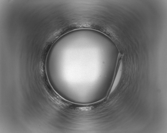 X0000064050692200602171711