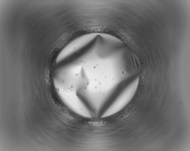 X0000064050693200602171711