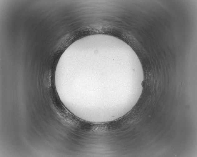 X0000064050694200602171711