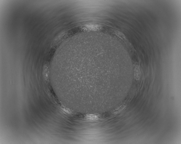 X0000064050701200602171711