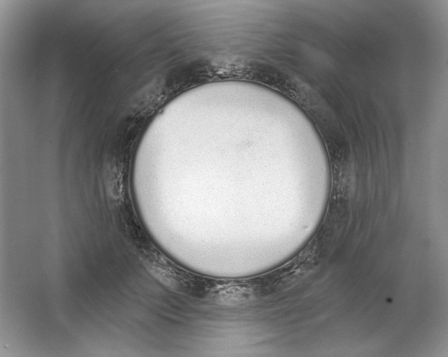 X0000064050703200602171711