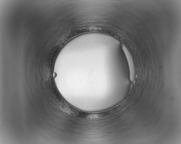 X0000064050704200602171711
