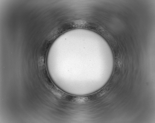 X0000064050711200602171710