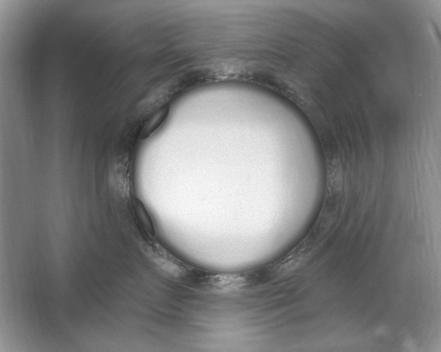 X0000064050719200602171710