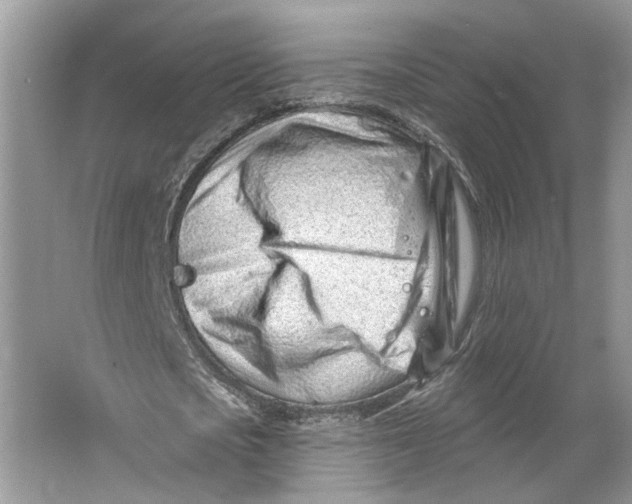 X0000064050721200602171710