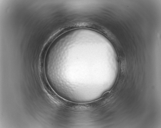 X0000064050722200602171710