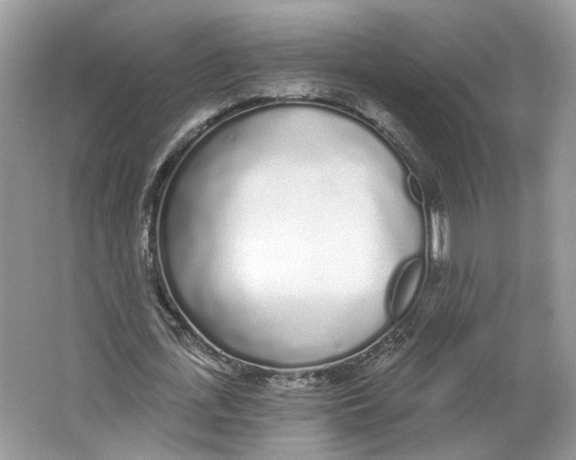 X0000064050723200602171710