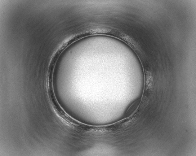 X0000064050726200602171710
