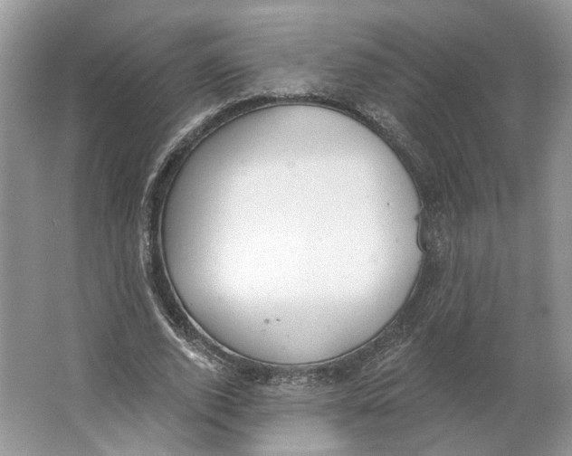 X0000064050728200602171710