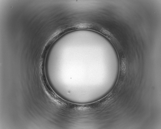 X0000064050730200602171710
