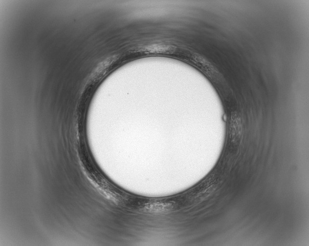 X0000064050734200602171710