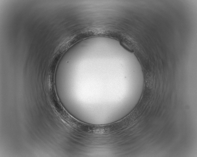 X0000064050740200602171710