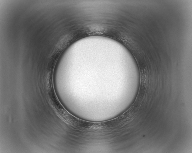 X0000064050742200602171710
