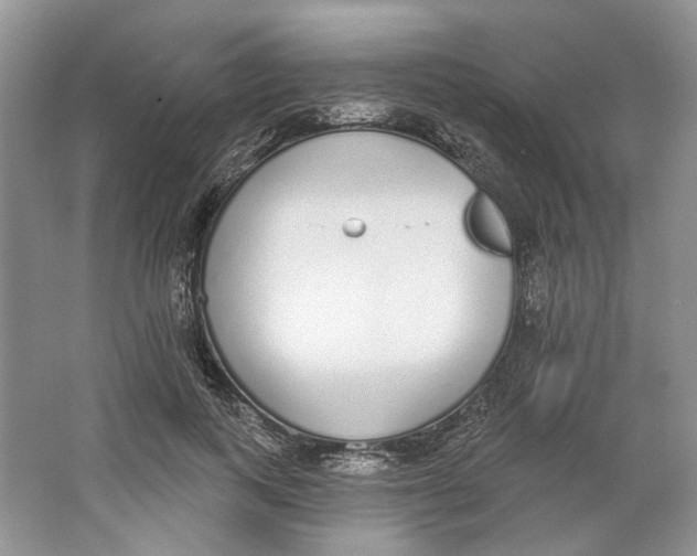 X0000064050743200602171710