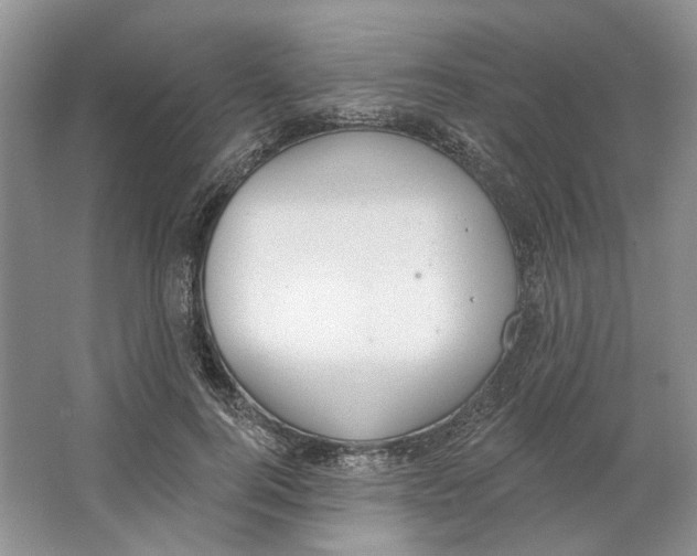 X0000064050744200602171710