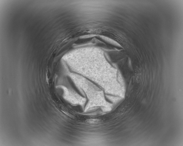 X0000064050748200602171710
