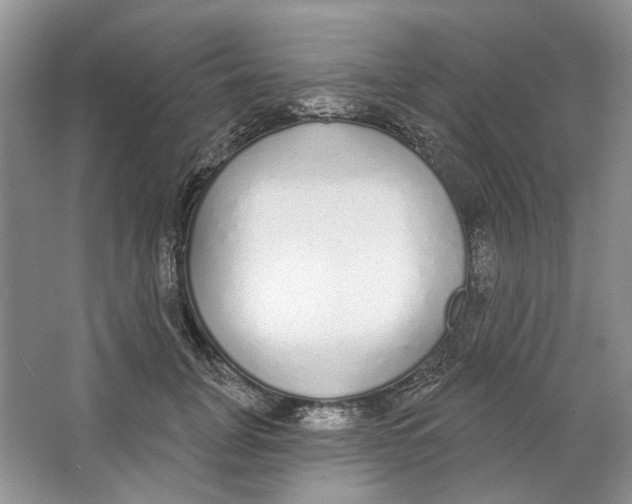X0000064050751200602171710