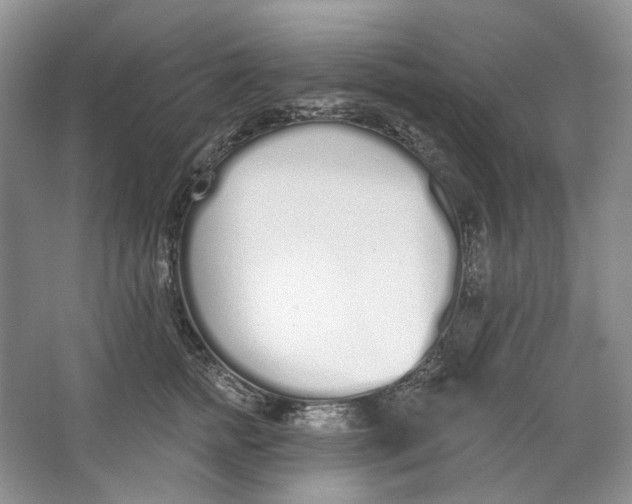 X0000064050758200602171710
