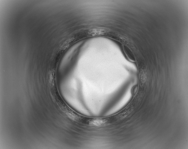 X0000064050759200602171710