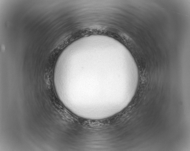 X0000064050774200602171709