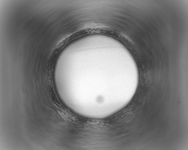 X0000064050775200602171709
