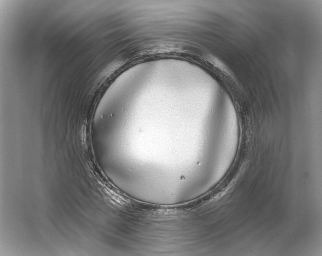 X0000064050777200602171709