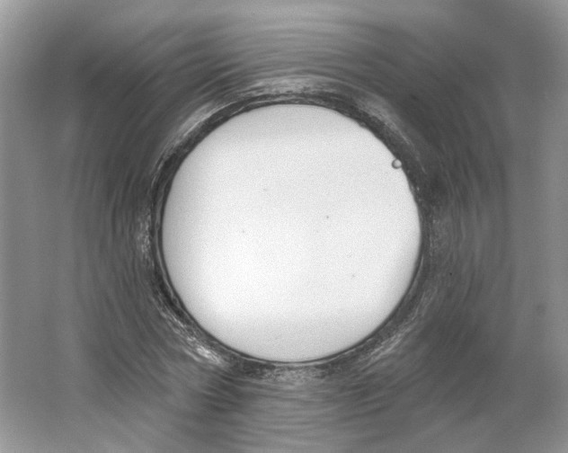 X0000064050778200602171709