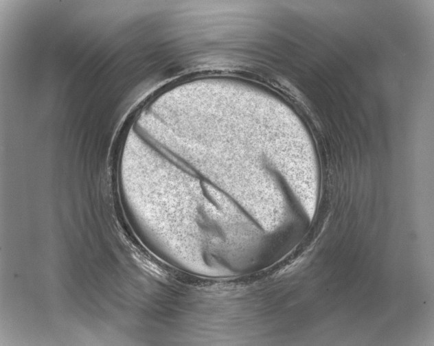 X0000064050779200602171709