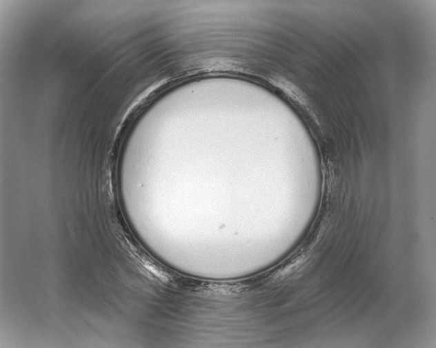 X0000064050782200602171709