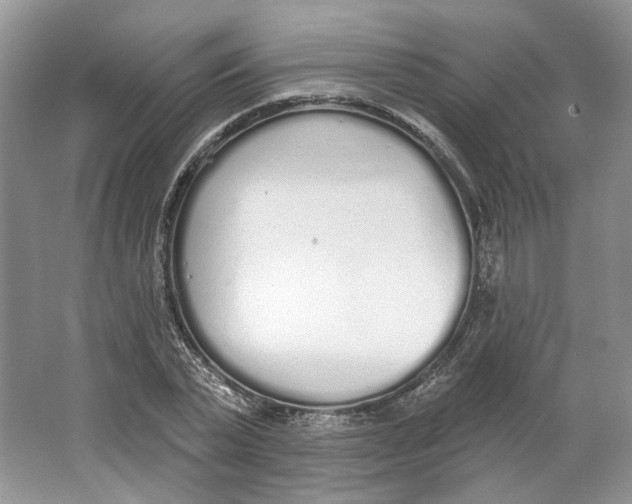 X0000064050783200602171709