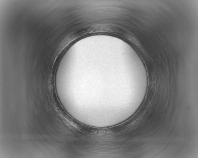 X0000064050786200602171709