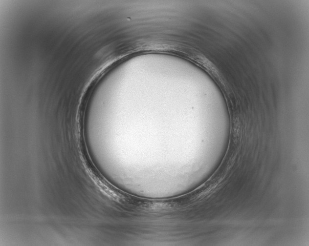 X0000064050787200602171709