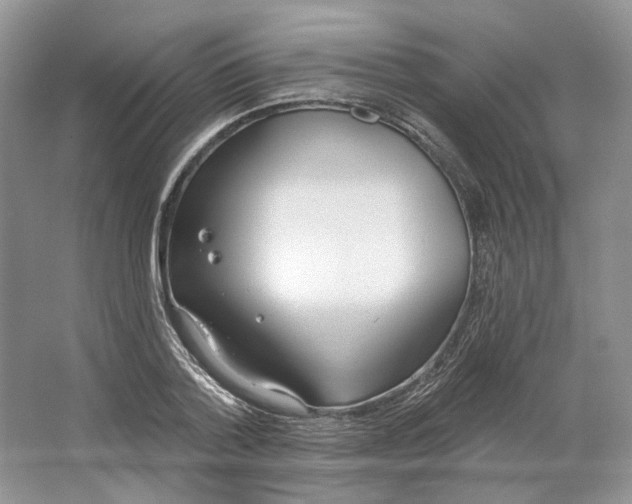 X0000064050788200602171709