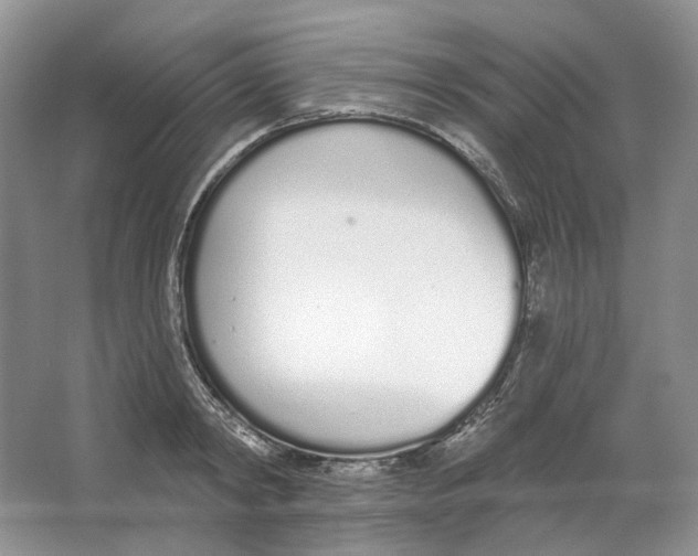 X0000064050798200602171709