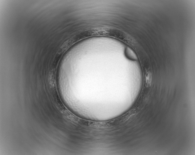 X0000064050819200602171708