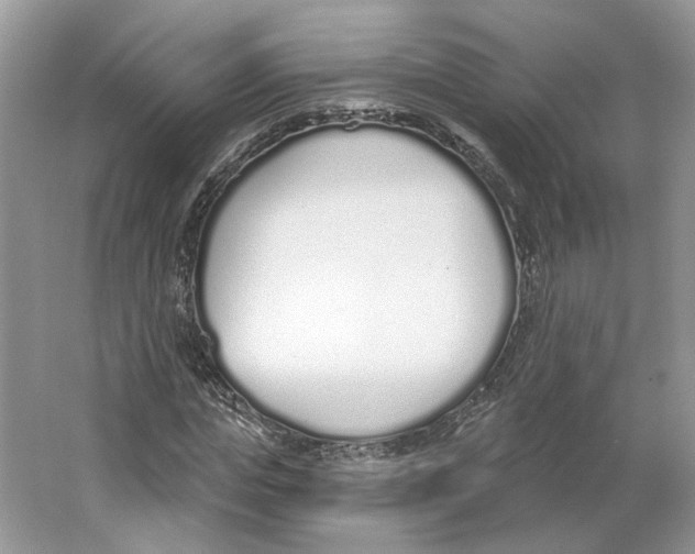 X0000064050823200602171708