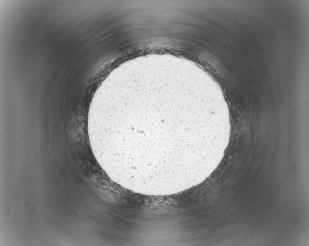 X0000064050824200602171708