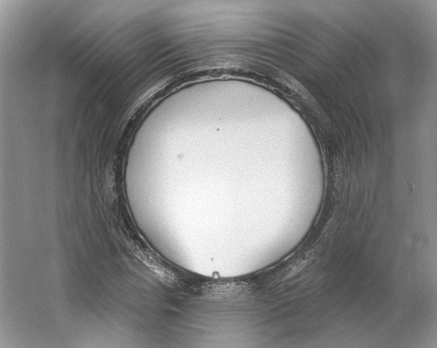 X0000064050826200602171708