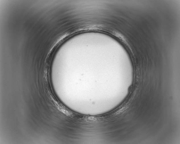 X0000064050827200602171708