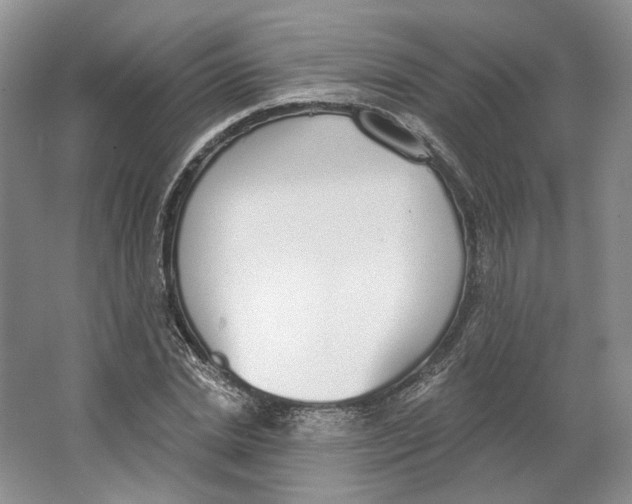 X0000064050830200602171708