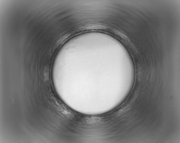 X0000064050833200602171708