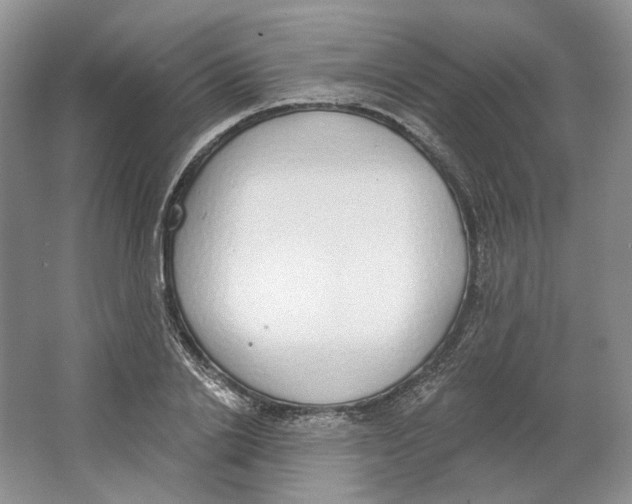 X0000064050838200602171708